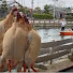 アイコン