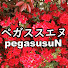 OT8WFa3IyDo-channel-avatar-ペガススエヌpegasusuN