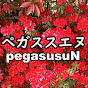 ペガススエヌpegasusuN logo