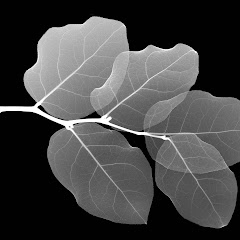 Thumbnail of related channel