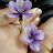 @user-gn1mx4xv4h