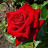 @nailamulkibaeva6748