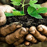 NjZSTwJ3laI-channel-avatar-Your Local Farmer