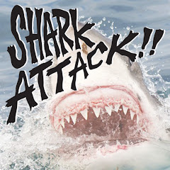 Shark Attack!!