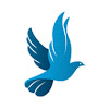 What could Grace Digital Network buy with $765.4 thousand?