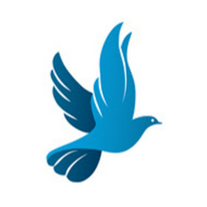 Grace Digital Network Net Worth & Earnings (2025)