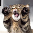 IEuFUVM6f28-channel-avatar-Kittisaurus