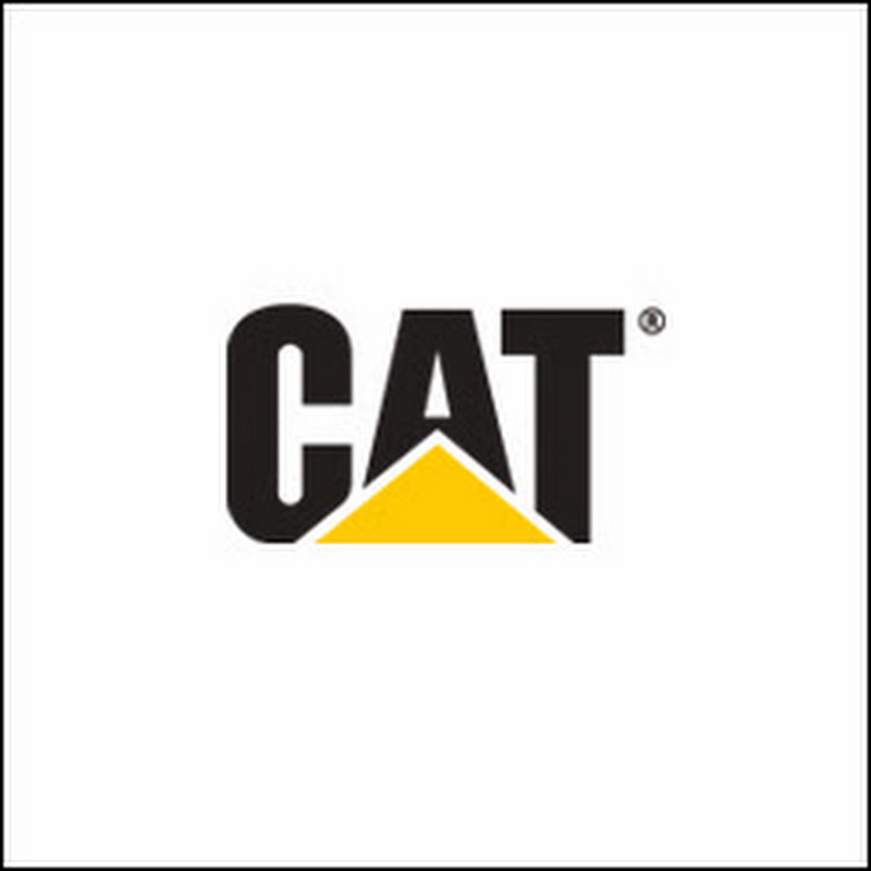 Cat Auctions
