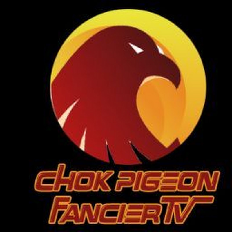 chok pigeon fancier TV