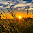 @tafadzwa0786 Avatar