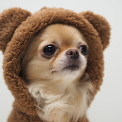 しーちゃんです。