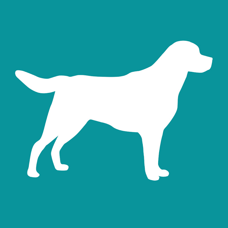 Lab Rescue LRCP