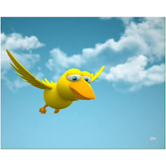 Patos Voladores