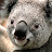 @user-dq3tt2fy5g