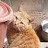 @시와고양이시와고양이