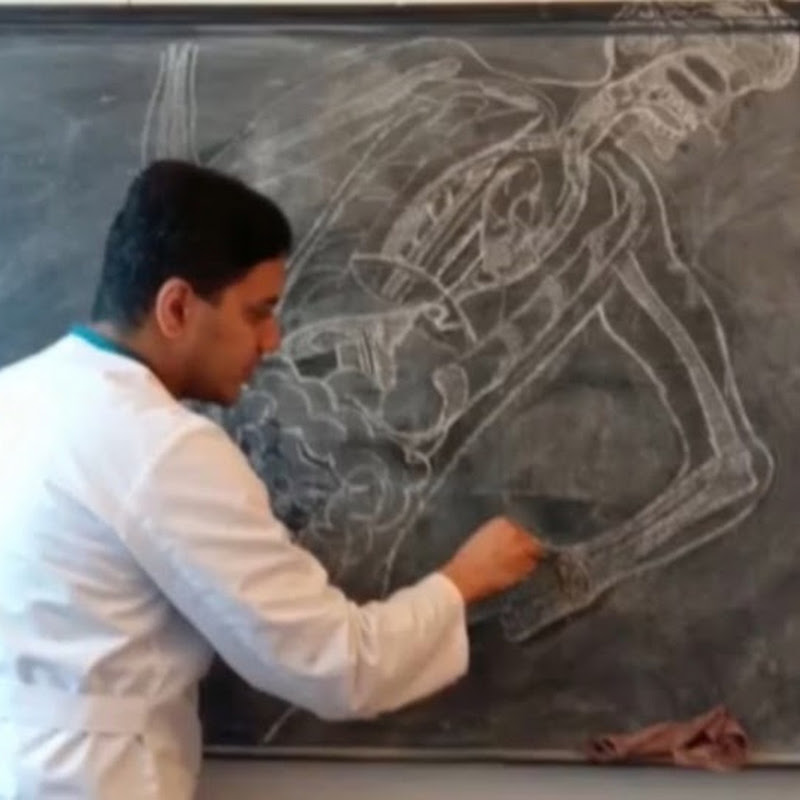 Лекции патологическая физиология Logo