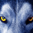 zvz5Mt6K7TE-channel-avatar-Lobo Teve