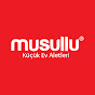 MUSULLU KÜÇÜK EV ALETLERİ
