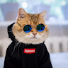 Автор