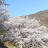 @소소하게-o7m