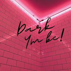 Dark Ym Be net worth