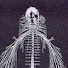 D4cW88GtOqc-channel-avatar-bodyofknowledge101