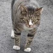 らみあ