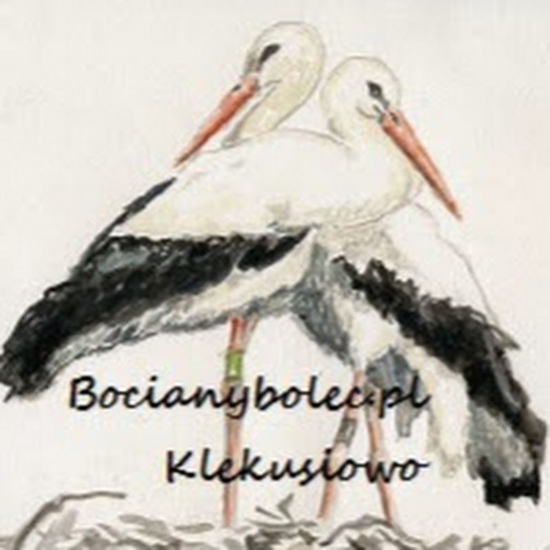 Klekusiowo logo