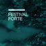 E99NNvo8nW4-channel-avatar-Festival Forte