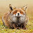 @letthemusicdothetalkingb4438's avatar