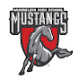 Mundelein Varsity Dance Team logo