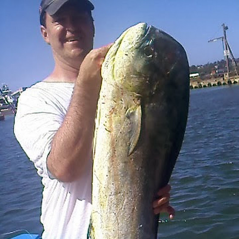 Rich Charters