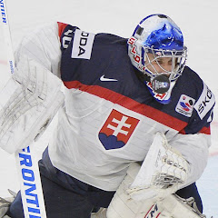 Slovenský Hokej Avatar