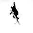 RWFzUliOPHs-channel-avatar-Skier Dan