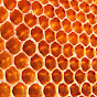 Bees Are Girls
