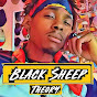 Black Sheep Theory logo