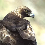 EagletOffice