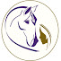 BykJ5BCf0gY-channel-avatar-Connection Training