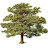 @johnrussell5245 Avatar