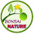 Bonsai Nature