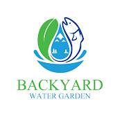 Backyard Water Garden