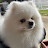 @mhKim-g9f