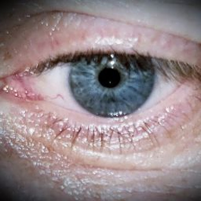 OnTropolis Net Worth & Earnings (2026)