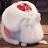 @snowball1734