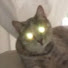 j1G-wrUYtcA-channel-avatar-Gataz