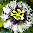 ReBEF3dE3g4-channel-avatar-Nature Relaxation Clips