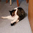 @billhorrigan4388's avatar