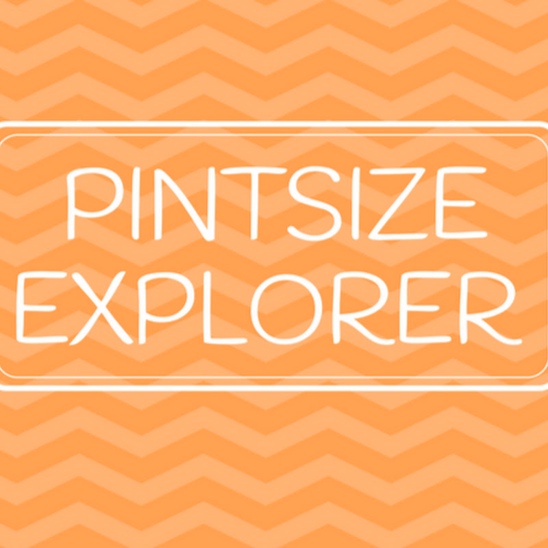 Pintsize Explorer