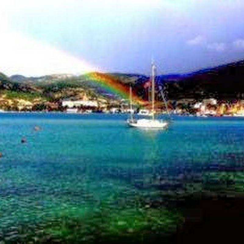Foça Haberleri