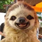 gimpymoo Avatar